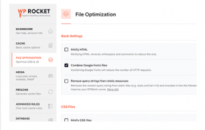 WP Rocket File Optimization