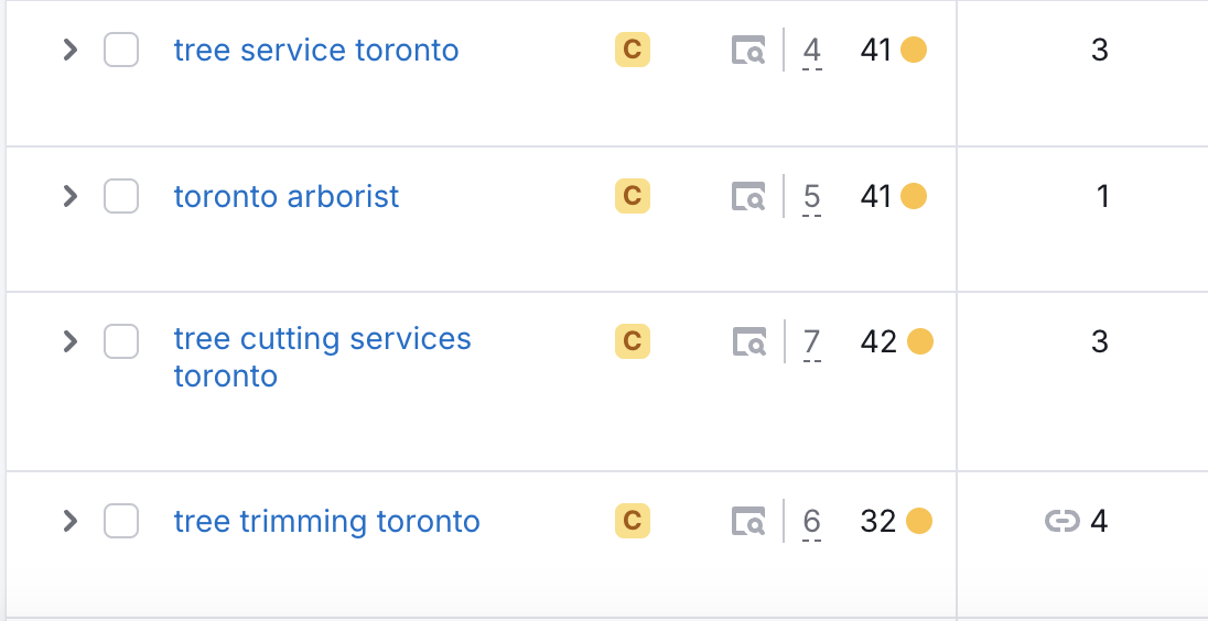 search engine optimization portfolio